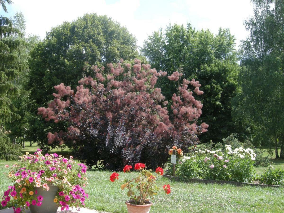 Bed and Breakfast Le Grand Pré Daillancourt Exterior foto